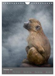 Portraits of Animals (Wandkalender 2024 DIN A4 hoch), CALVENDO Monatskalender - Abbildung 12