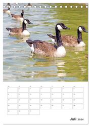 Mein Starnberger See - Die Perle im Fünfseenland im Jahresverlauf (Tischkalender 2024 DIN A5 hoch), CALVENDO Monatskalender - Abbildung 9