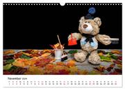 Eddy, der Teddy (Wandkalender 2024 DIN A3 quer), CALVENDO Monatskalender - Abbildung 13