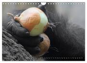 OBST & GEMÜSE in Gorillahänden (Wandkalender 2024 DIN A4 quer), CALVENDO Monatskalender - Abbildung 7
