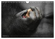 OBST & GEMÜSE in Gorillahänden (Wandkalender 2024 DIN A4 quer), CALVENDO Monatskalender - Abbildung 11