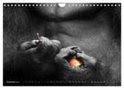 OBST & GEMÜSE in Gorillahänden (Wandkalender 2024 DIN A4 quer), CALVENDO Monatskalender - Abbildung 14