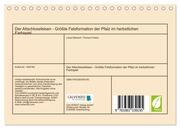 Der Altschlossfelsen - Größte Felsformation der Pfalz im herbstlichen Farbspiel (Tischkalender 2024 DIN A5 quer), CALVENDO Monatskalender - Abbildung 1