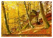 Der Altschlossfelsen - Größte Felsformation der Pfalz im herbstlichen Farbspiel (Tischkalender 2024 DIN A5 quer), CALVENDO Monatskalender - Abbildung 9