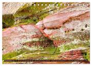 Der Altschlossfelsen - Größte Felsformation der Pfalz im herbstlichen Farbspiel (Tischkalender 2024 DIN A5 quer), CALVENDO Monatskalender - Abbildung 11