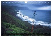 TENERIFFA - DIE KRAFT DER NATUR HAUTNAH (Wandkalender 2024 DIN A4 quer), CALVENDO Monatskalender - Abbildung 3