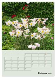 Lilien im Garten (Wandkalender 2024 DIN A3 hoch), CALVENDO Monatskalender - Abbildung 4