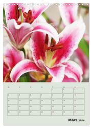 Lilien im Garten (Wandkalender 2024 DIN A3 hoch), CALVENDO Monatskalender - Abbildung 5