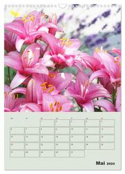 Lilien im Garten (Wandkalender 2024 DIN A3 hoch), CALVENDO Monatskalender - Abbildung 7