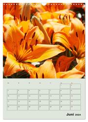 Lilien im Garten (Wandkalender 2024 DIN A3 hoch), CALVENDO Monatskalender - Abbildung 8