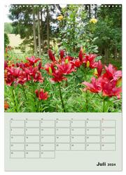 Lilien im Garten (Wandkalender 2024 DIN A3 hoch), CALVENDO Monatskalender - Abbildung 9