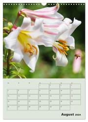 Lilien im Garten (Wandkalender 2024 DIN A3 hoch), CALVENDO Monatskalender - Abbildung 10