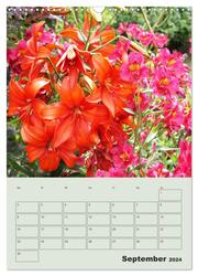 Lilien im Garten (Wandkalender 2024 DIN A3 hoch), CALVENDO Monatskalender - Abbildung 11