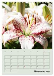 Lilien im Garten (Wandkalender 2024 DIN A3 hoch), CALVENDO Monatskalender - Abbildung 14