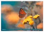 Schmetterlinge im Fokus (hochwertiger Premium Wandkalender 2024 DIN A2 quer), Kunstdruck in Hochglanz - Abbildung 2