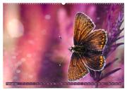 Schmetterlinge im Fokus (hochwertiger Premium Wandkalender 2024 DIN A2 quer), Kunstdruck in Hochglanz - Abbildung 3