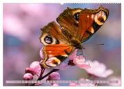 Schmetterlinge im Fokus (hochwertiger Premium Wandkalender 2024 DIN A2 quer), Kunstdruck in Hochglanz - Abbildung 4