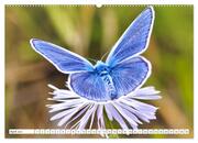 Schmetterlinge im Fokus (hochwertiger Premium Wandkalender 2024 DIN A2 quer), Kunstdruck in Hochglanz - Abbildung 5