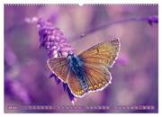 Schmetterlinge im Fokus (hochwertiger Premium Wandkalender 2024 DIN A2 quer), Kunstdruck in Hochglanz - Abbildung 8