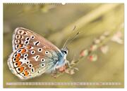 Schmetterlinge im Fokus (hochwertiger Premium Wandkalender 2024 DIN A2 quer), Kunstdruck in Hochglanz - Abbildung 9