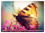 Schmetterlinge im Fokus (hochwertiger Premium Wandkalender 2024 DIN A2 quer), Kunstdruck in Hochglanz - Abbildung 10