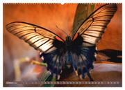 Schmetterlinge im Fokus (hochwertiger Premium Wandkalender 2024 DIN A2 quer), Kunstdruck in Hochglanz - Abbildung 11