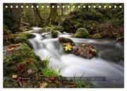 Impressionen vom Uracher Wasserfallsteig (Tischkalender 2024 DIN A5 quer), CALVENDO Monatskalender - Abbildung 10