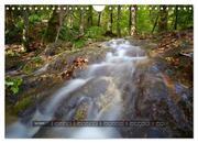 Impressionen vom Uracher Wasserfallsteig (Wandkalender 2024 DIN A4 quer), CALVENDO Monatskalender - Abbildung 6