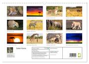 Safari Kenia (Wandkalender 2024 DIN A3 quer), CALVENDO Monatskalender - Abbildung 1