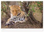 Safari Kenia (Wandkalender 2024 DIN A3 quer), CALVENDO Monatskalender - Abbildung 3