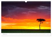 Safari Kenia (Wandkalender 2024 DIN A3 quer), CALVENDO Monatskalender - Abbildung 4