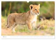 Safari Kenia (Wandkalender 2024 DIN A3 quer), CALVENDO Monatskalender - Abbildung 5