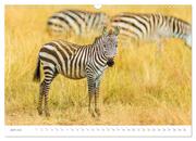 Safari Kenia (Wandkalender 2024 DIN A3 quer), CALVENDO Monatskalender - Abbildung 8