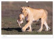 Safari Kenia (Wandkalender 2024 DIN A3 quer), CALVENDO Monatskalender - Abbildung 10