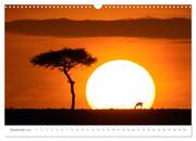 Safari Kenia (Wandkalender 2024 DIN A3 quer), CALVENDO Monatskalender - Abbildung 11
