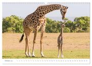 Safari Kenia (Wandkalender 2024 DIN A3 quer), CALVENDO Monatskalender - Abbildung 12