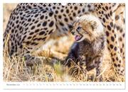 Safari Kenia (Wandkalender 2024 DIN A3 quer), CALVENDO Monatskalender - Abbildung 13