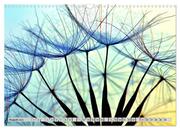 PusteblumenZauber (Wandkalender 2024 DIN A3 quer), CALVENDO Monatskalender - Abbildung 10