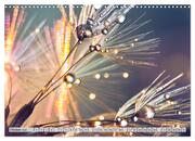 PusteblumenZauber (Wandkalender 2024 DIN A3 quer), CALVENDO Monatskalender - Abbildung 12