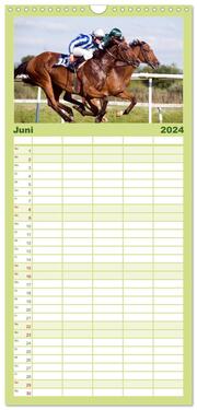 Familienplaner 2024 - Faszination Galopprennen in Baden-Baden mit 5 Spalten (Wandkalender, 21 x 45 cm) CALVENDO - Abbildung 7