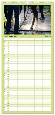 Familienplaner 2024 - Faszination Galopprennen in Baden-Baden mit 5 Spalten (Wandkalender, 21 x 45 cm) CALVENDO - Abbildung 13