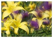 Taglilien im Garten (hochwertiger Premium Wandkalender 2024 DIN A2 quer), Kunstdruck in Hochglanz - Abbildung 13