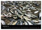 Malawisee Fischer (Tischkalender 2024 DIN A5 quer), CALVENDO Monatskalender - Abbildung 11