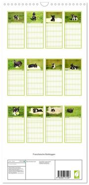 Familienplaner 2024 - Französische Bulldoggen mit 5 Spalten (Wandkalender, 21 x 45 cm) CALVENDO - Abbildung 1