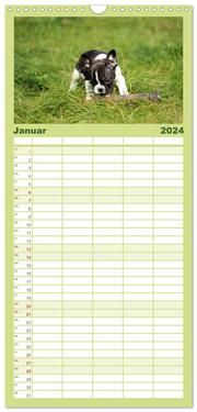 Familienplaner 2024 - Französische Bulldoggen mit 5 Spalten (Wandkalender, 21 x 45 cm) CALVENDO - Abbildung 2