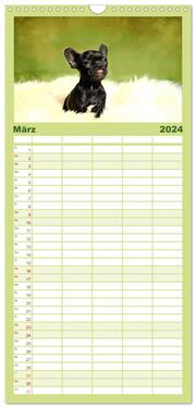 Familienplaner 2024 - Französische Bulldoggen mit 5 Spalten (Wandkalender, 21 x 45 cm) CALVENDO - Abbildung 4