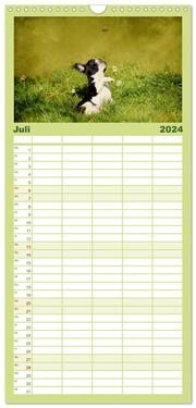 Familienplaner 2024 - Französische Bulldoggen mit 5 Spalten (Wandkalender, 21 x 45 cm) CALVENDO - Abbildung 8