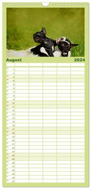 Familienplaner 2024 - Französische Bulldoggen mit 5 Spalten (Wandkalender, 21 x 45 cm) CALVENDO - Abbildung 9