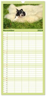Familienplaner 2024 - Französische Bulldoggen mit 5 Spalten (Wandkalender, 21 x 45 cm) CALVENDO - Abbildung 12