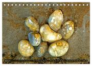 Steinzauberwelten - Steine sammeln auf Rügen (Tischkalender 2024 DIN A5 quer), CALVENDO Monatskalender - Abbildung 6